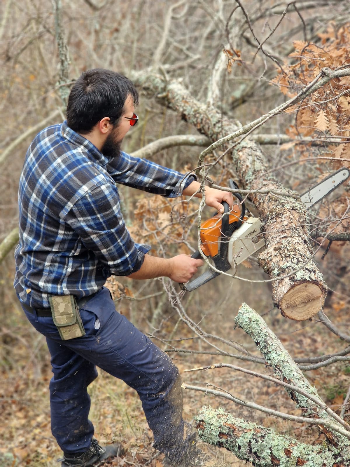 Stihl Motorlu Testere