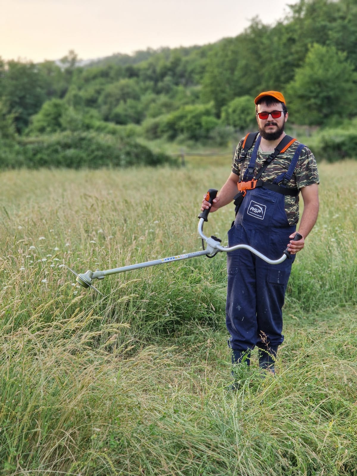 Stihl Tırpan